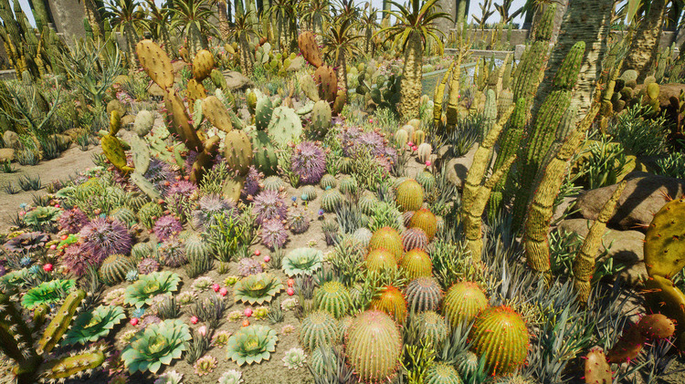 Cactus Plants: Desert Garden 