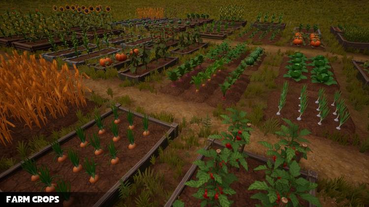 Farm Crops
