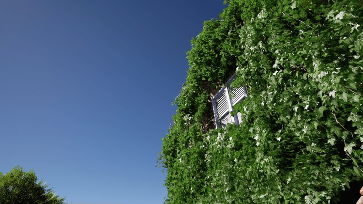 Crazy Ivy - Procedural Ivy & Vine Generator Plug-in - Auto Grow Plants In Editor