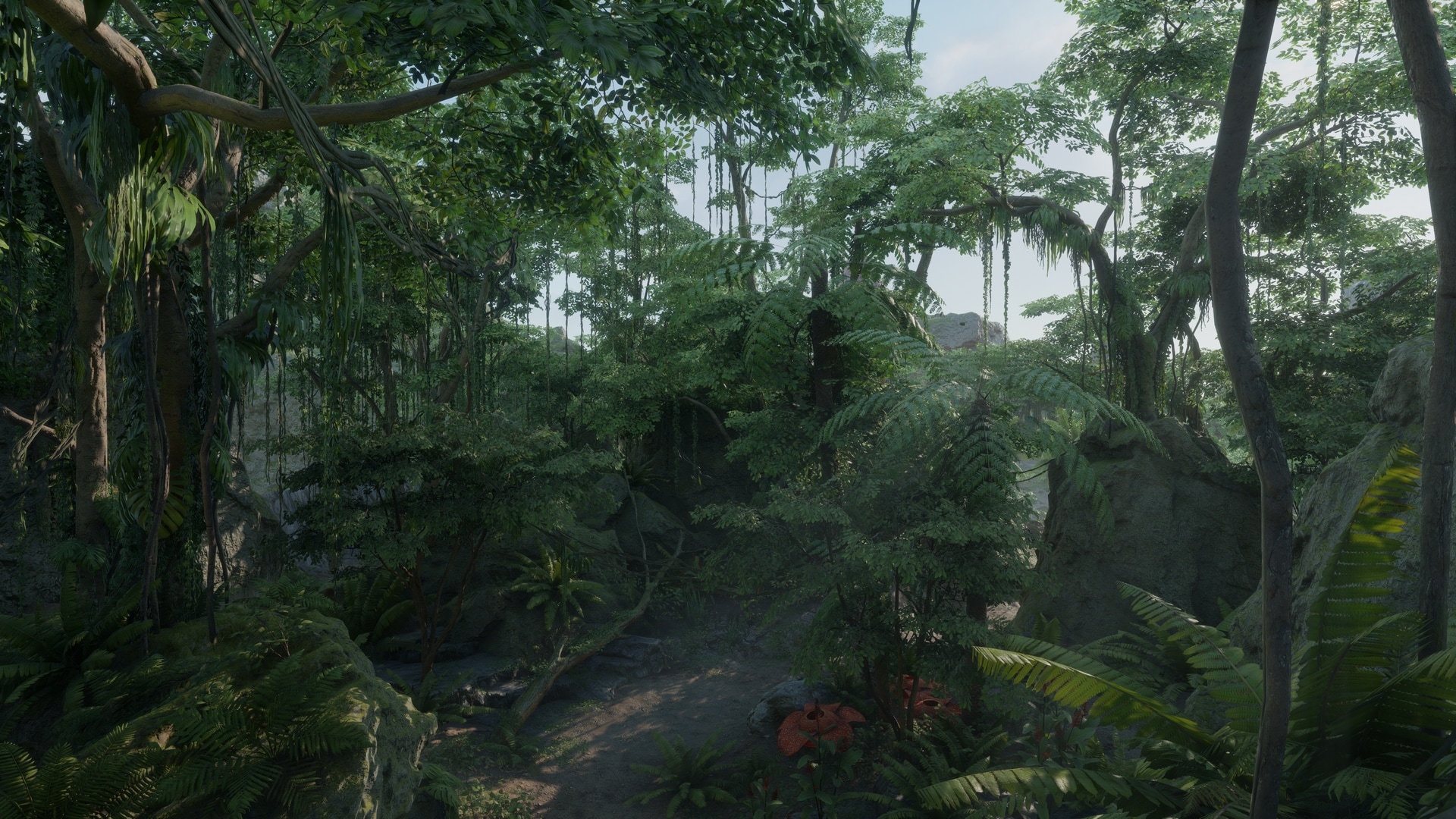 Tropical Jungle Pack