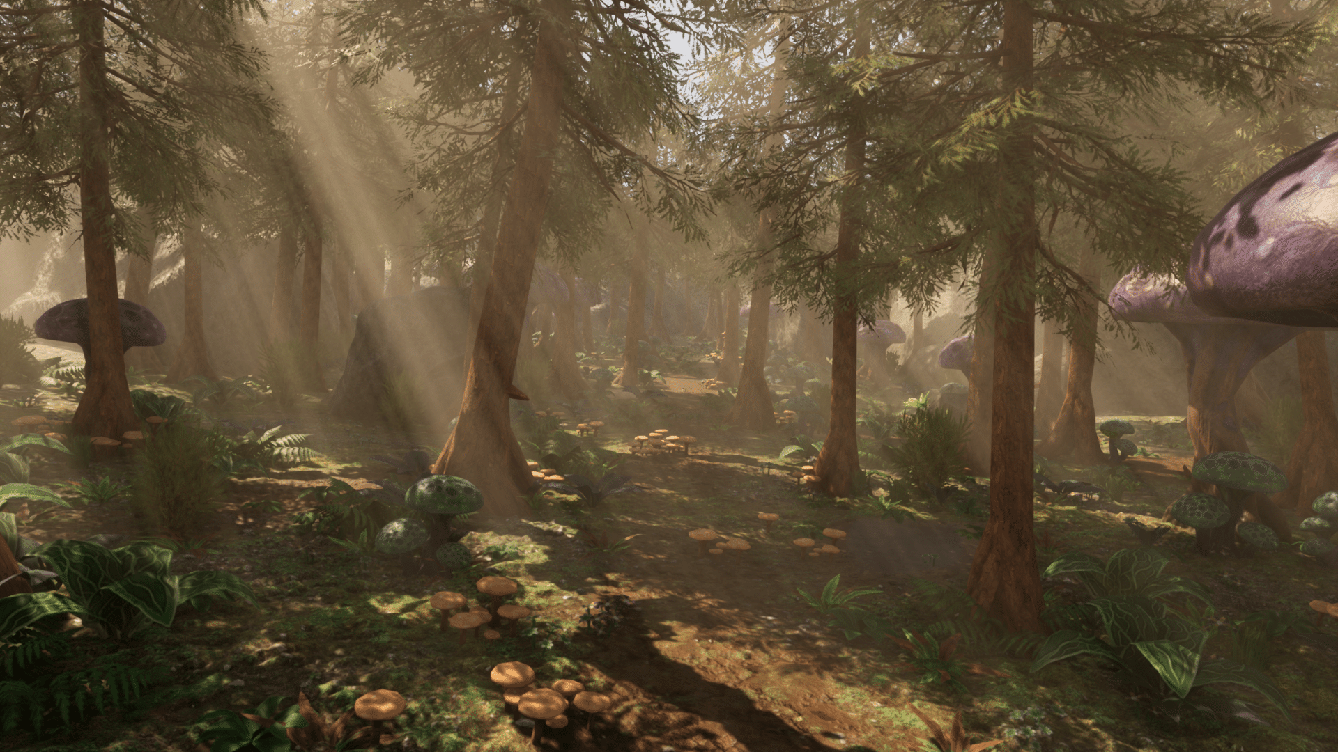 Fantasy Forest - Forest Environment 