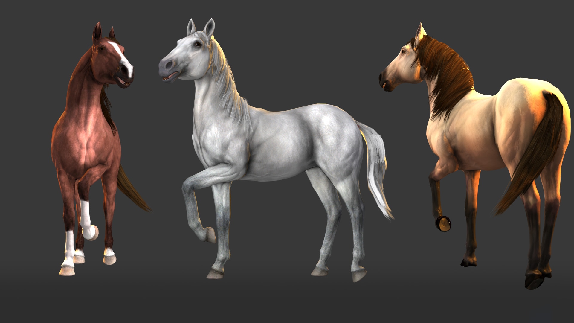 Horse Animset