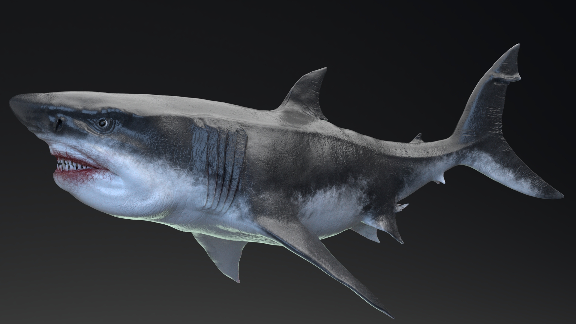 MEGALODON - Sea Monster Series 5