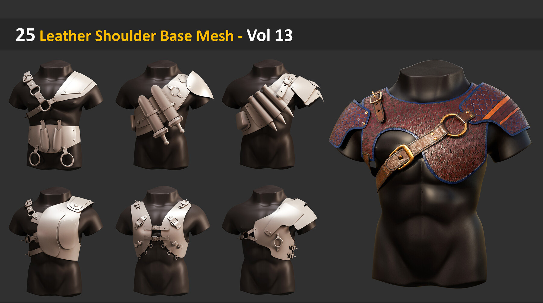 25 Leather Shoulder Base Mesh - Vol 13