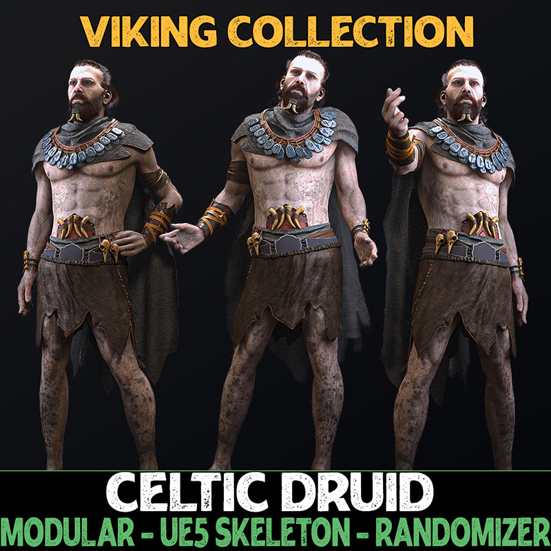 Celtic Druid Male Vikings Fantasy Collection