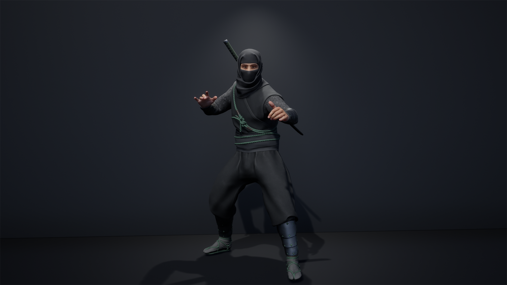 Samurai Ninja