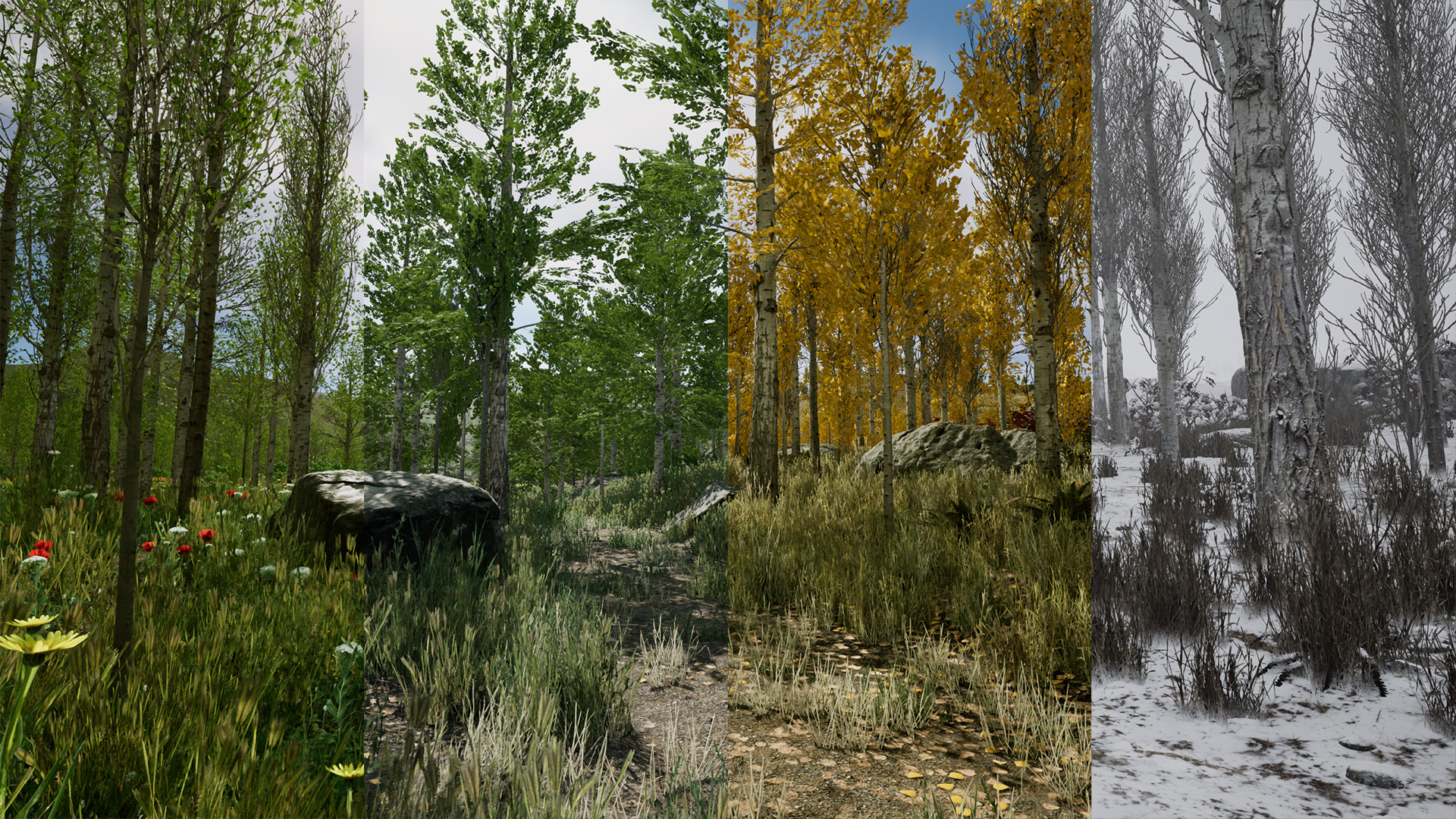 Scanned Poplar and Aspen Forest with Seasons