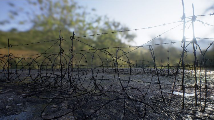 Barbed Wire Pack 