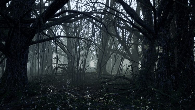 Dark Forest