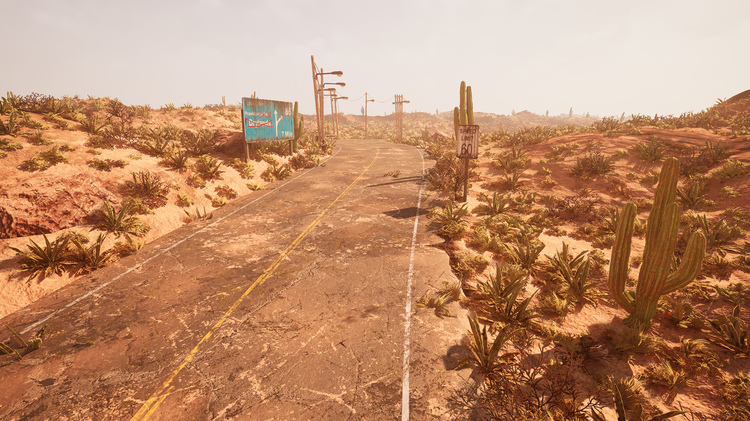 Post Apocalyptic Desert