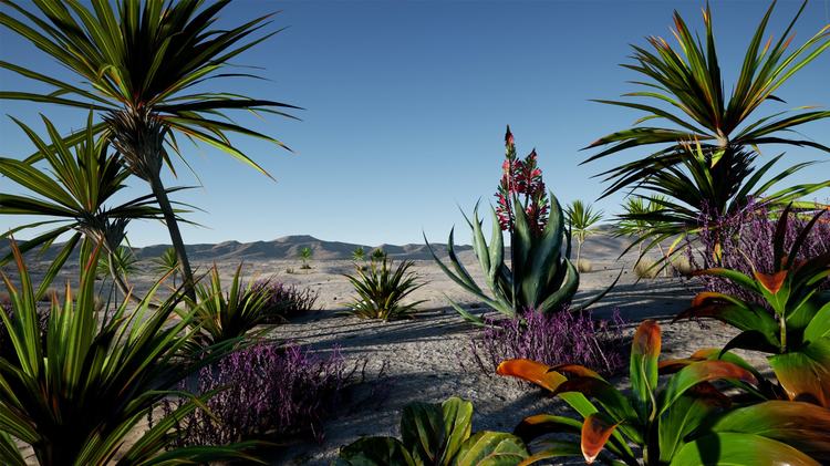 Jungle and Desert Vegetation