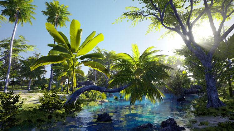 3D Scanned Photo Realistic Mauritius Asset Pack