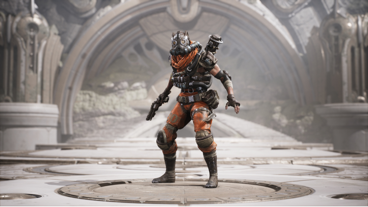 Paragon Drongo