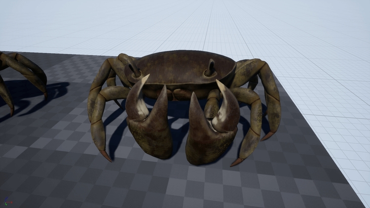 Crab - Animated Creature