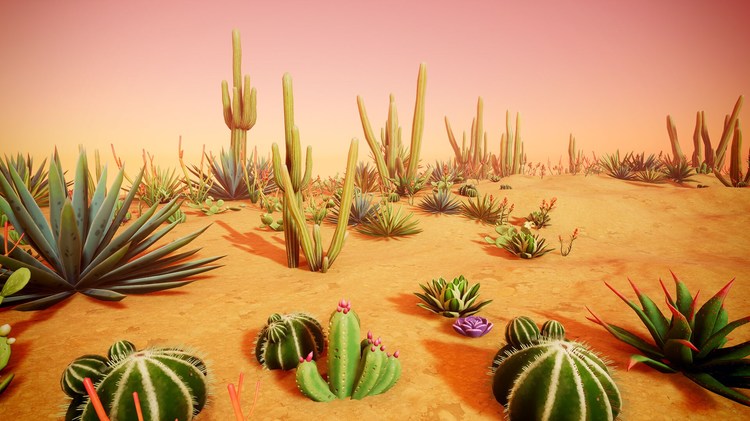 Stylized Desert Plants 