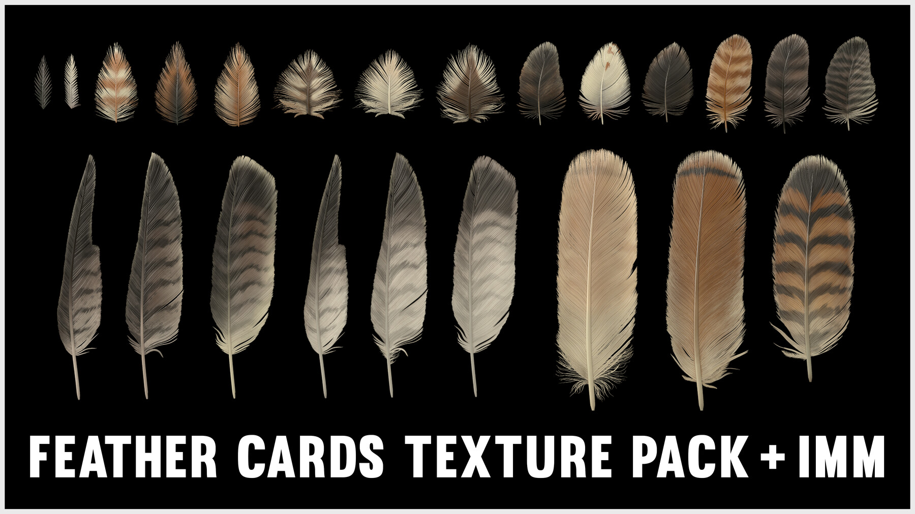 Red-Tailed Hawk Feathers Texture Pack + IMM