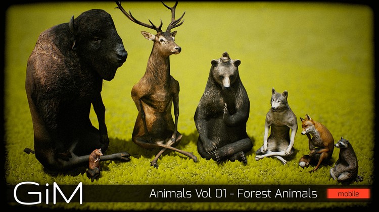 Animals Vol 01 Forest Animals