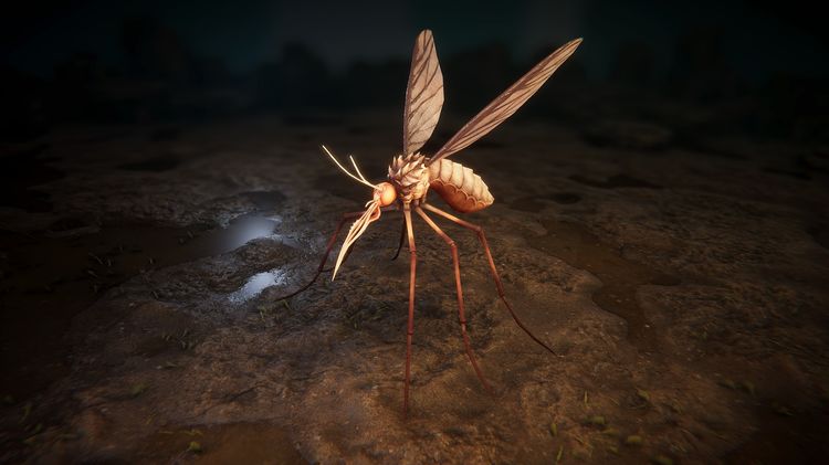 Mosquitos pack