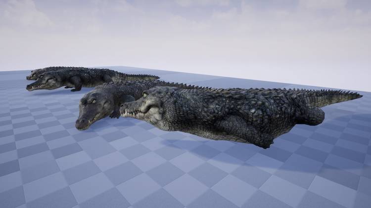 CROCODILE