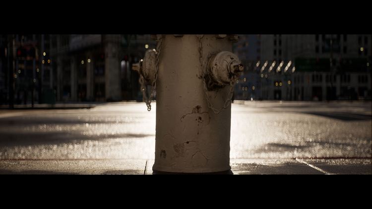 Anamorphic Depth of Field for Cinematics