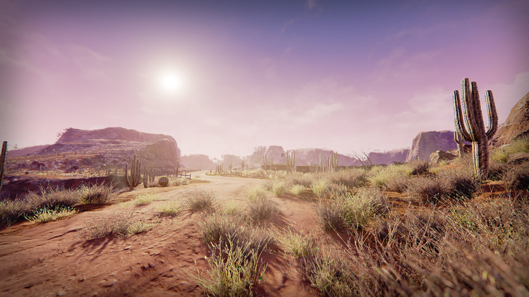 Semi-Arid Desert Environment 