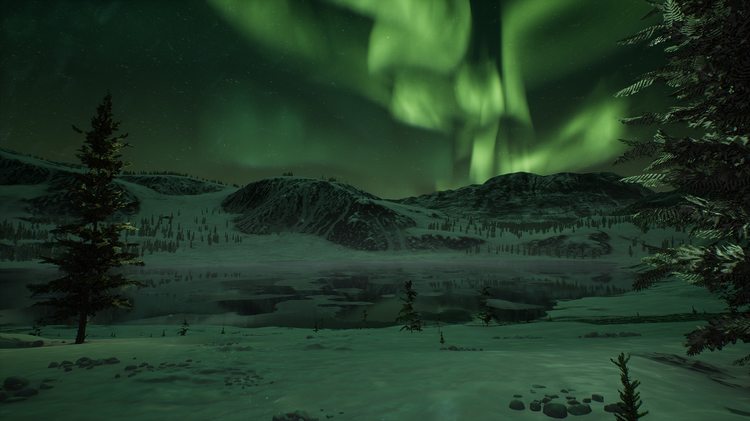 Arctic Aurora Landscape