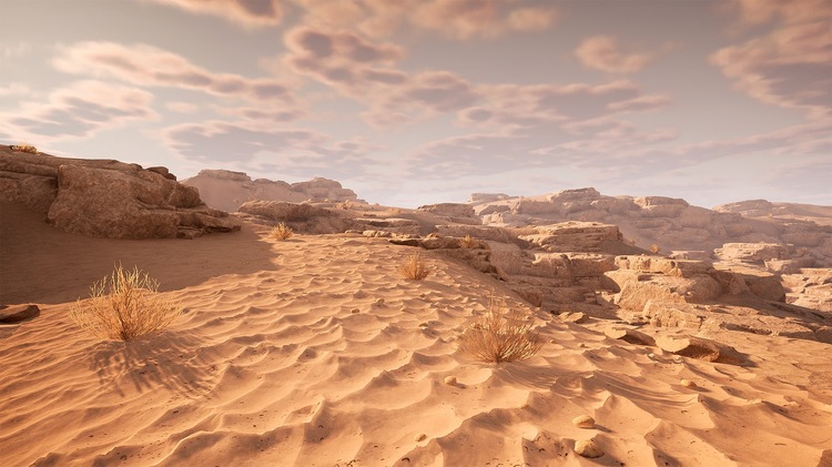 Rocky Desert 