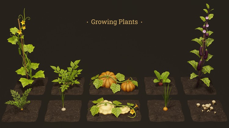 Growing Plants