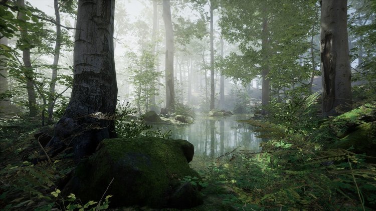 Forest - Environment Set