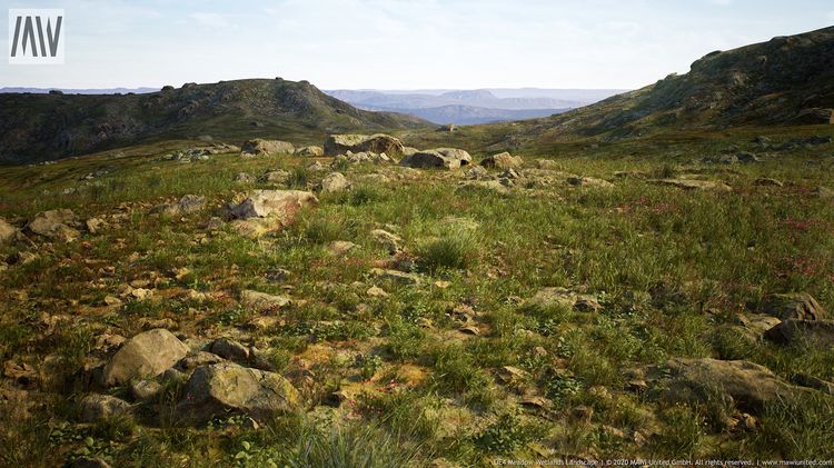 Meadow Wetlands Landscape