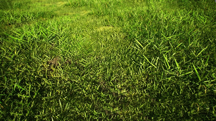 Realistic Grass Pack 01