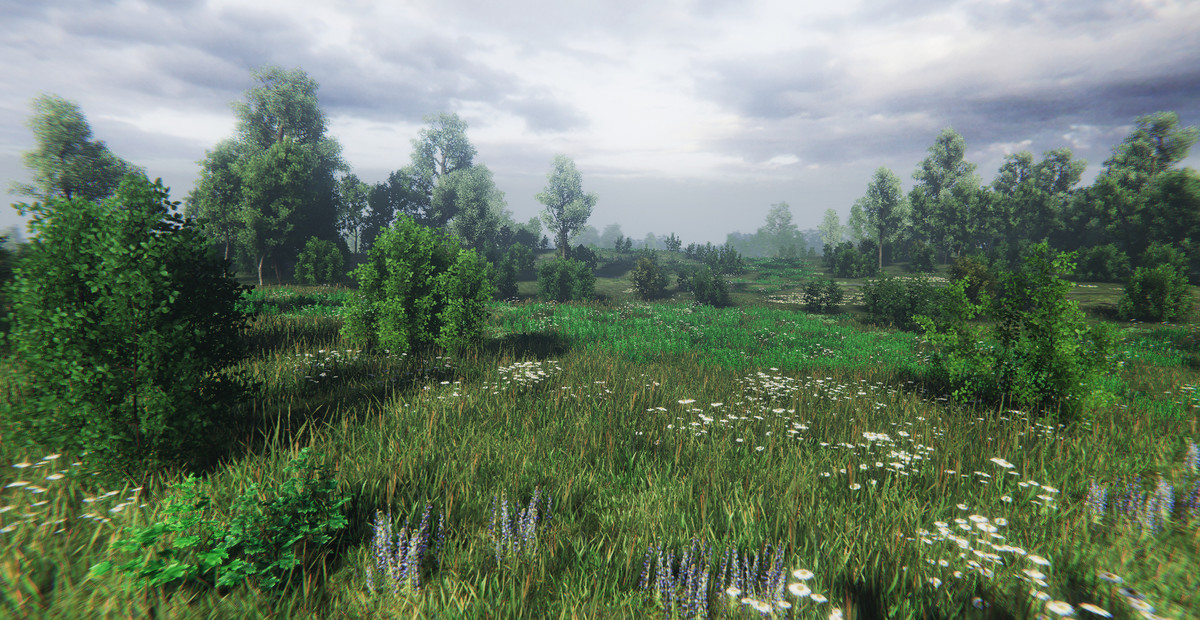 Nature Package - Swamp,Forest Environment