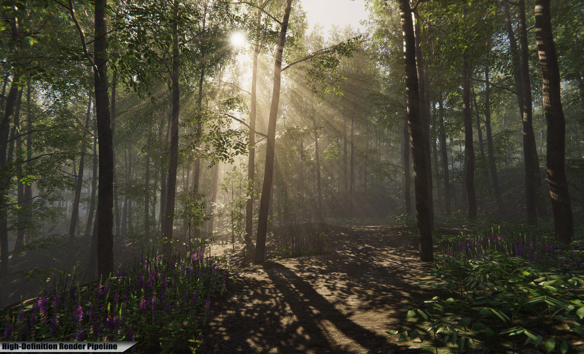 Nature Package - Forest Environment