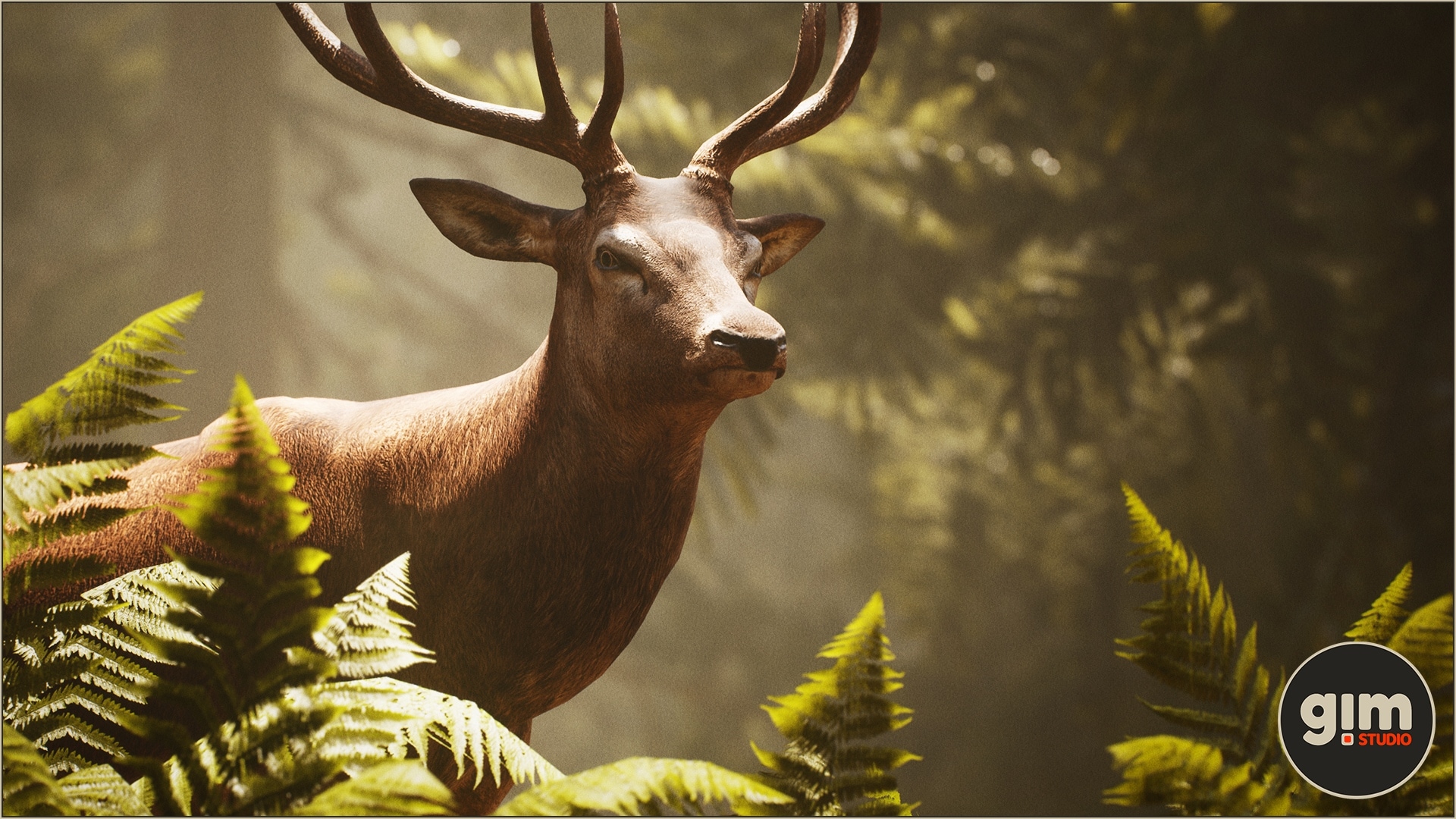 Animalia - Red Deer (male)