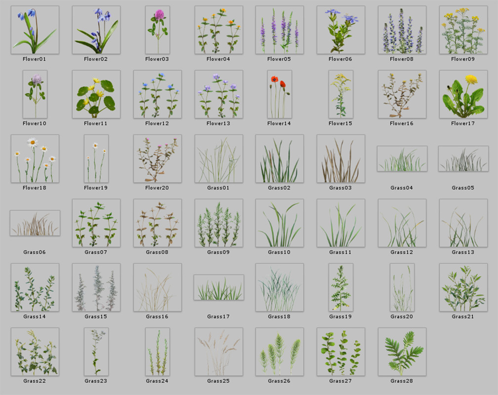 Realistic Grass Flowers Pack