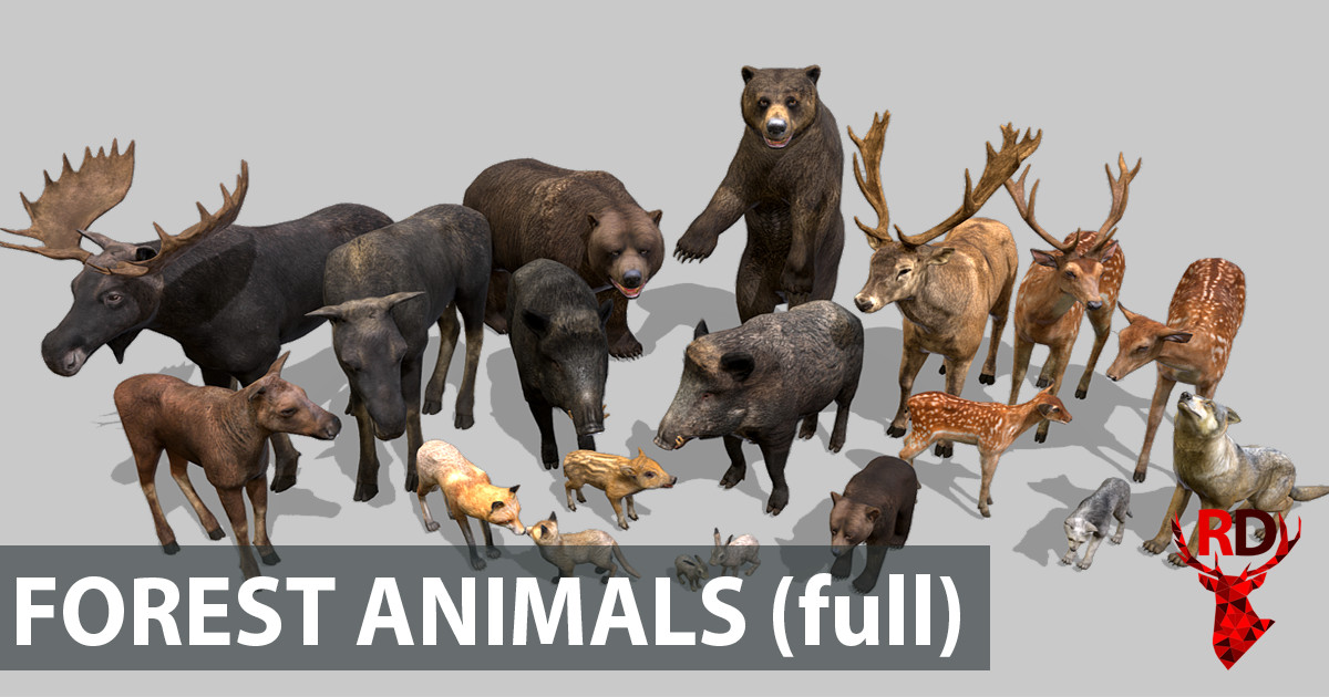 Forest animals