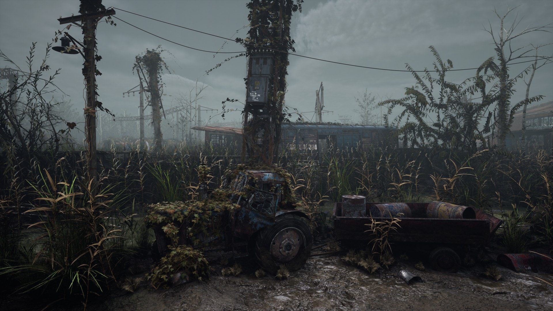 Swampy industrial zone