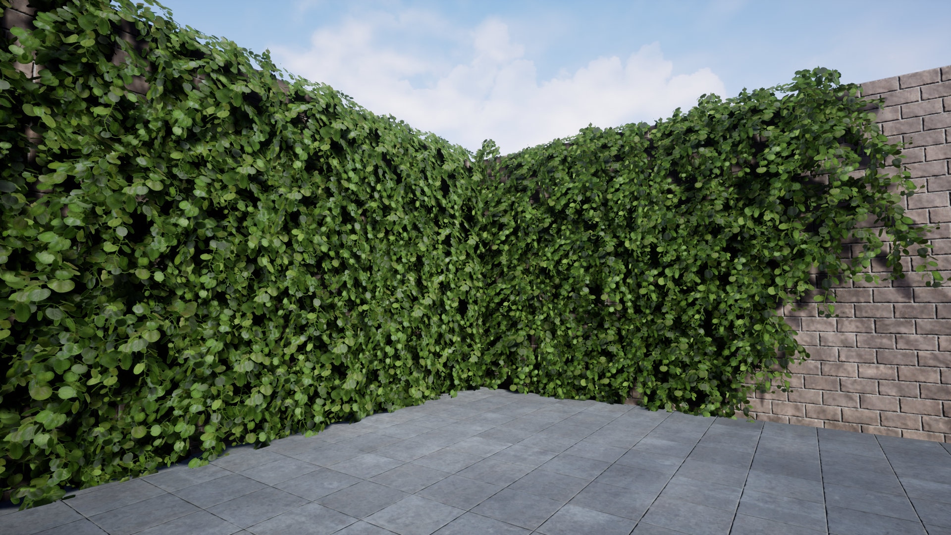 Ivy Foliage Pack 4K