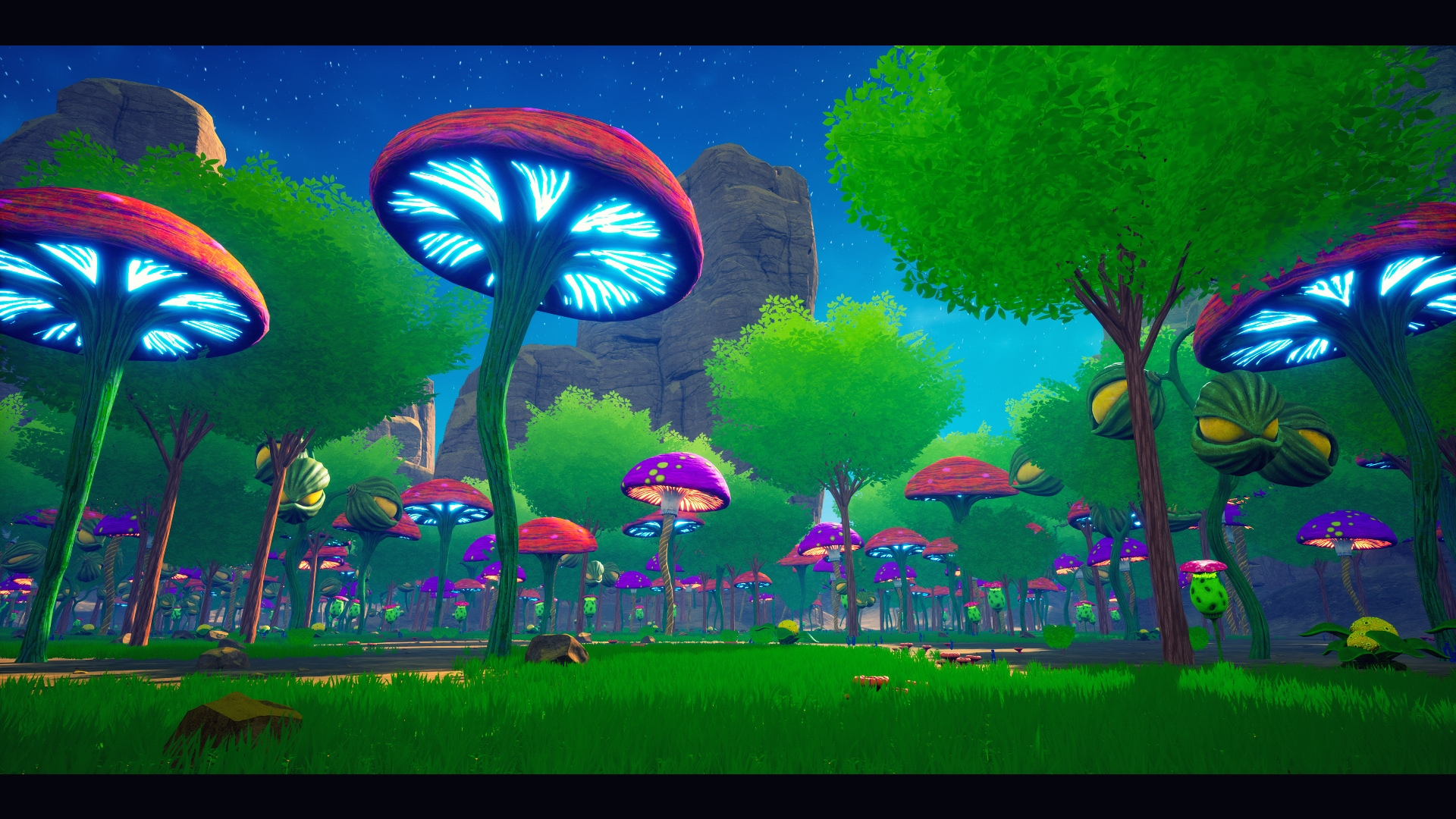 Desert Mushroom Forest