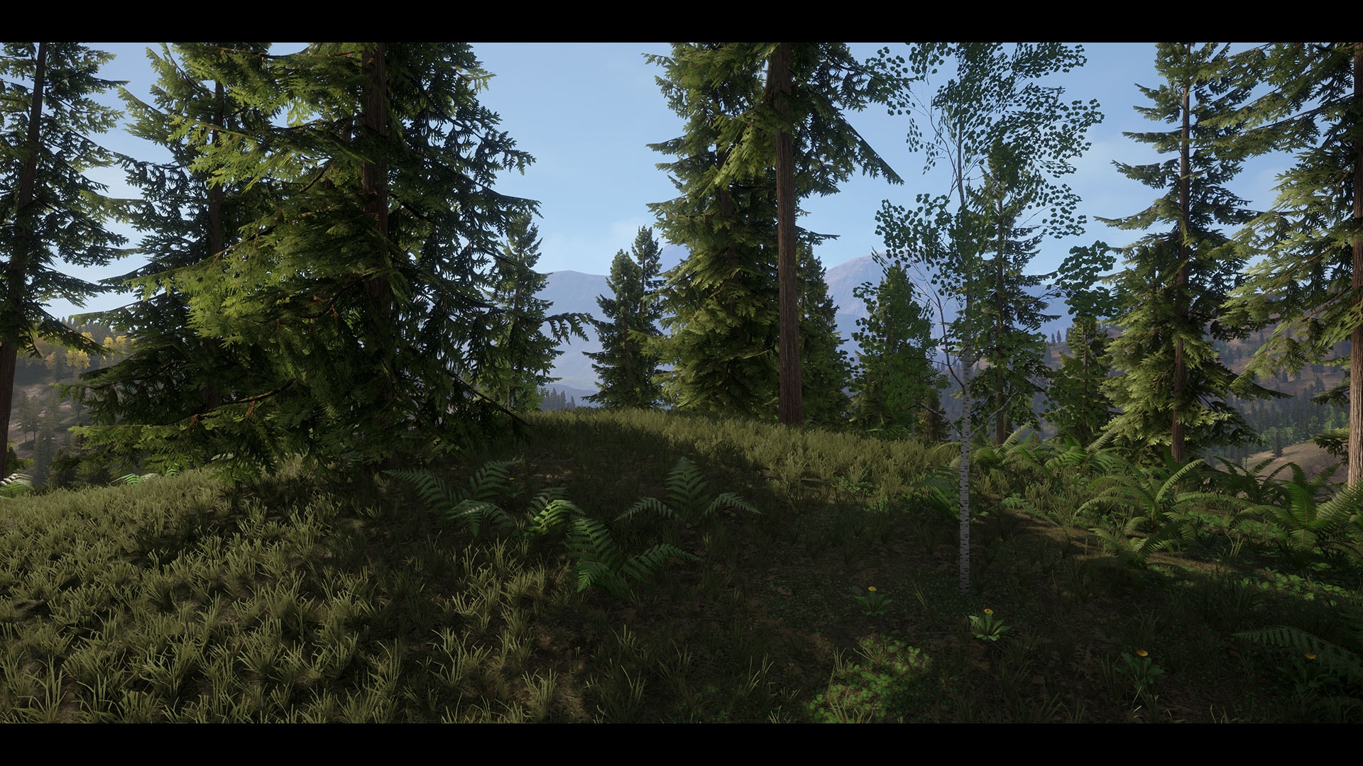 Realistic Forest Pack