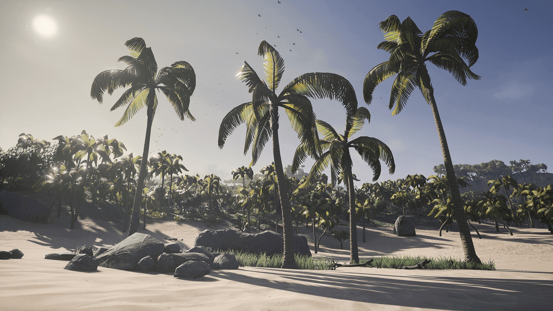 Tropical Island Environment 