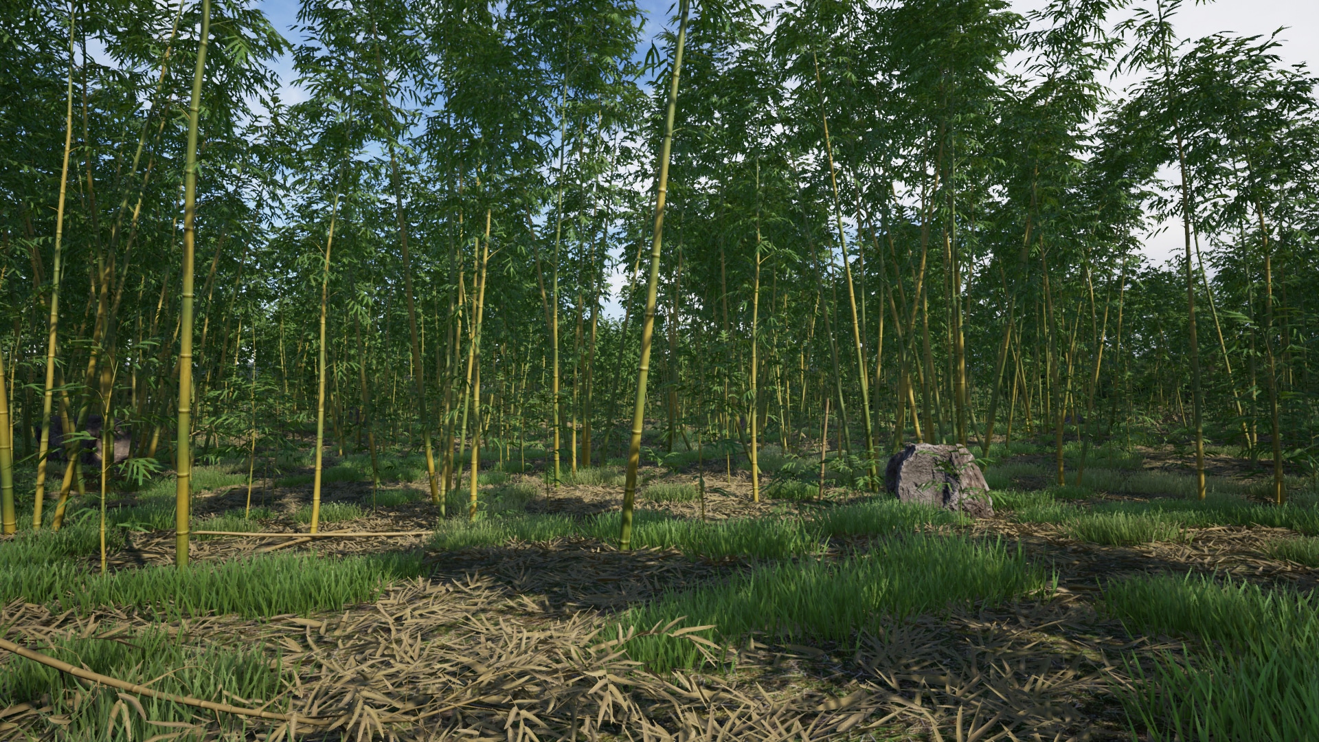 Bamboo Plants Pack