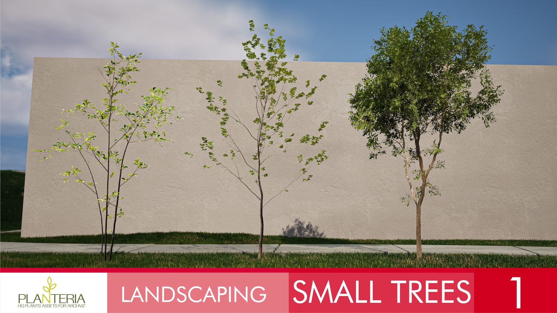 Landscaping Small Trees 1