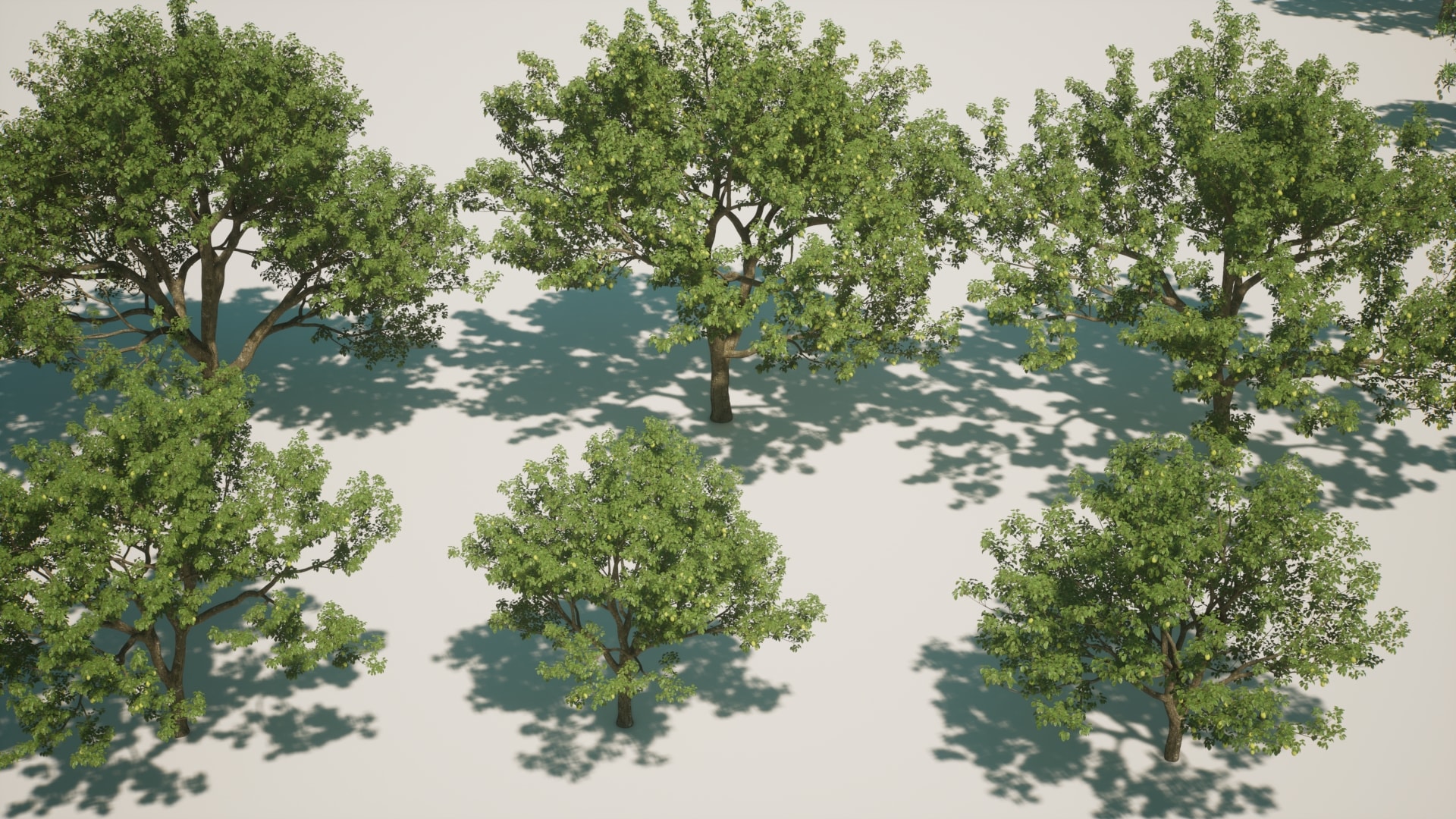 Fruit Tree V2