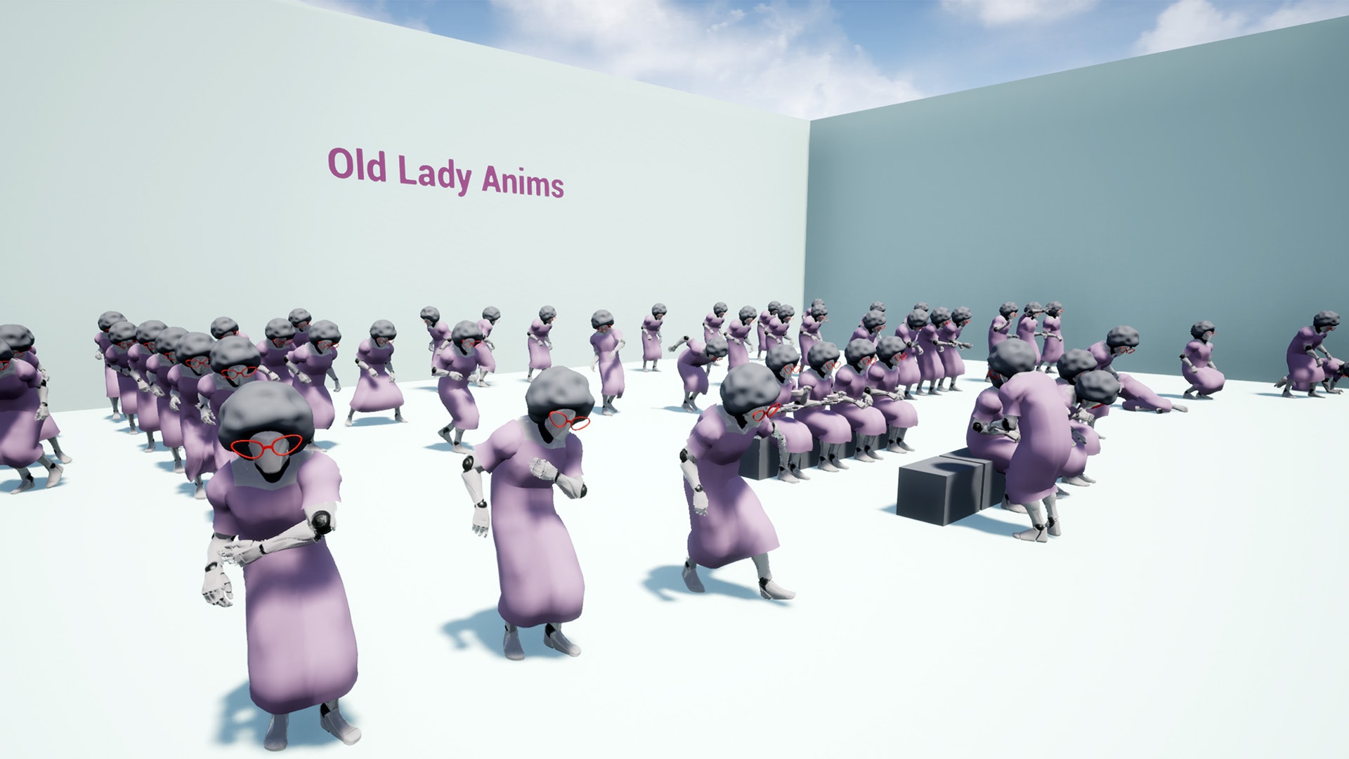 Old Lady Anims