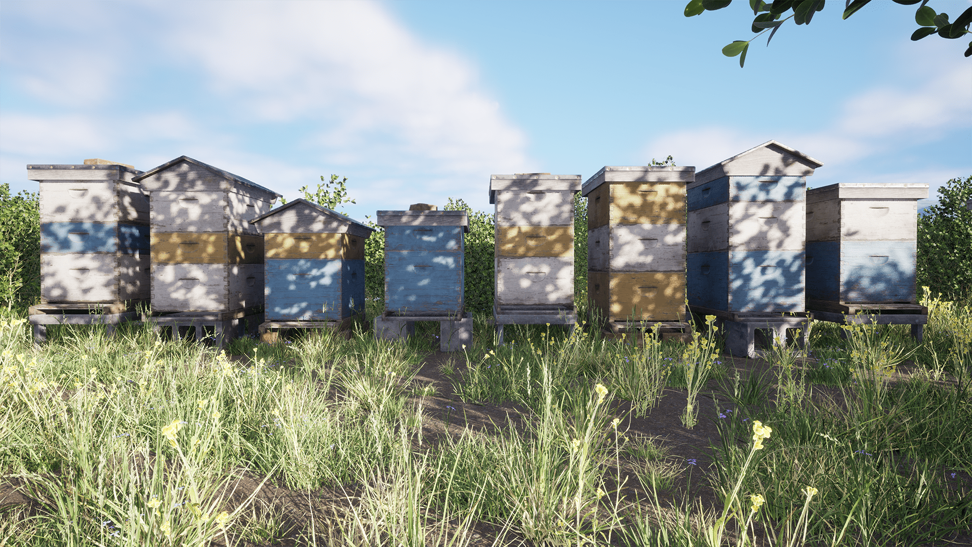 Beehives Modular Pack