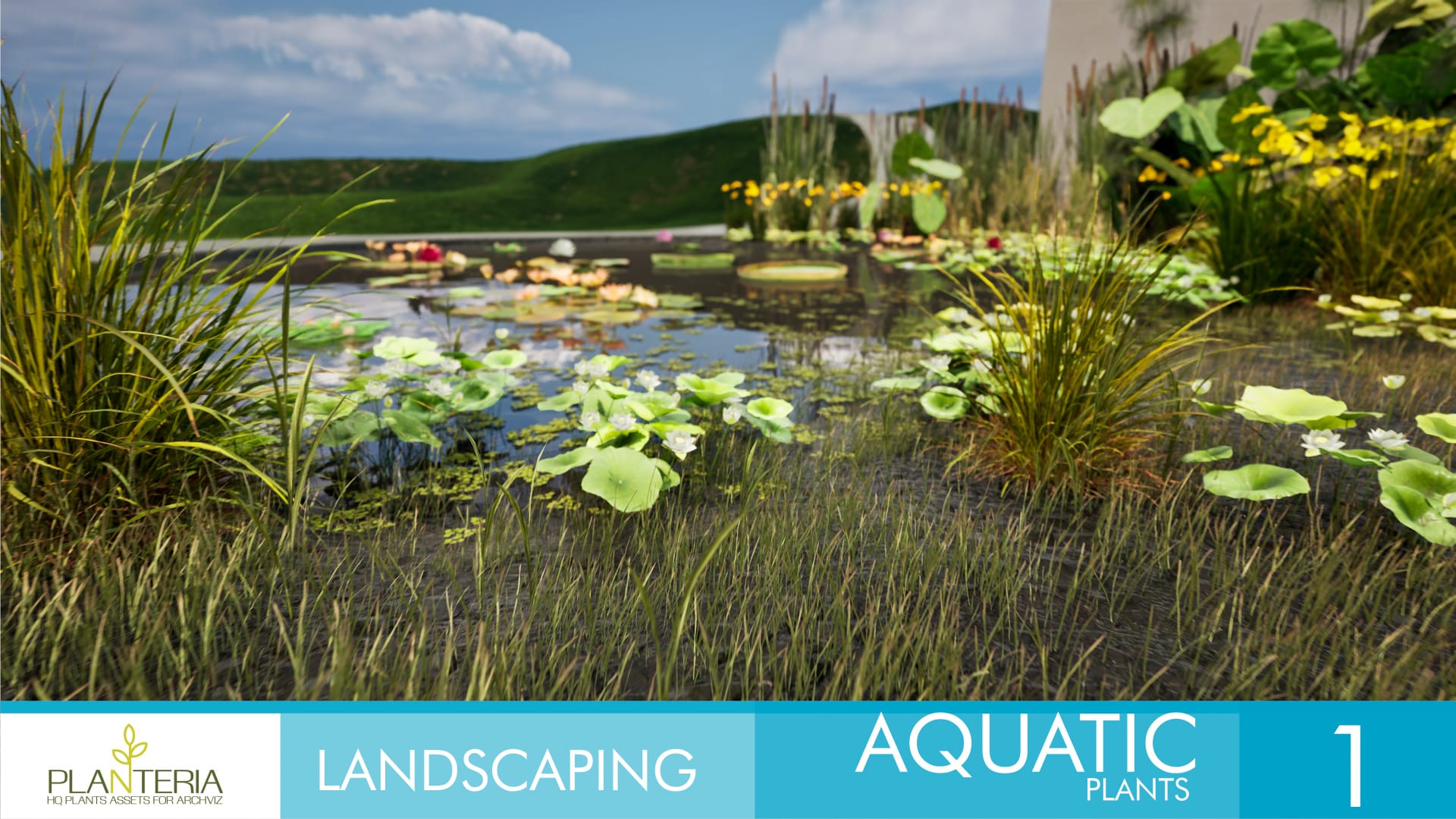 Landscaping Aquatic Plants