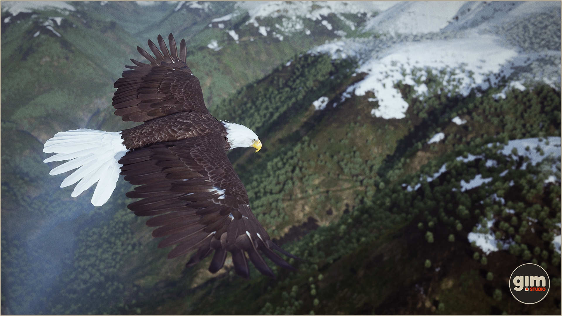 Animalia - Bald and Golden Eagle