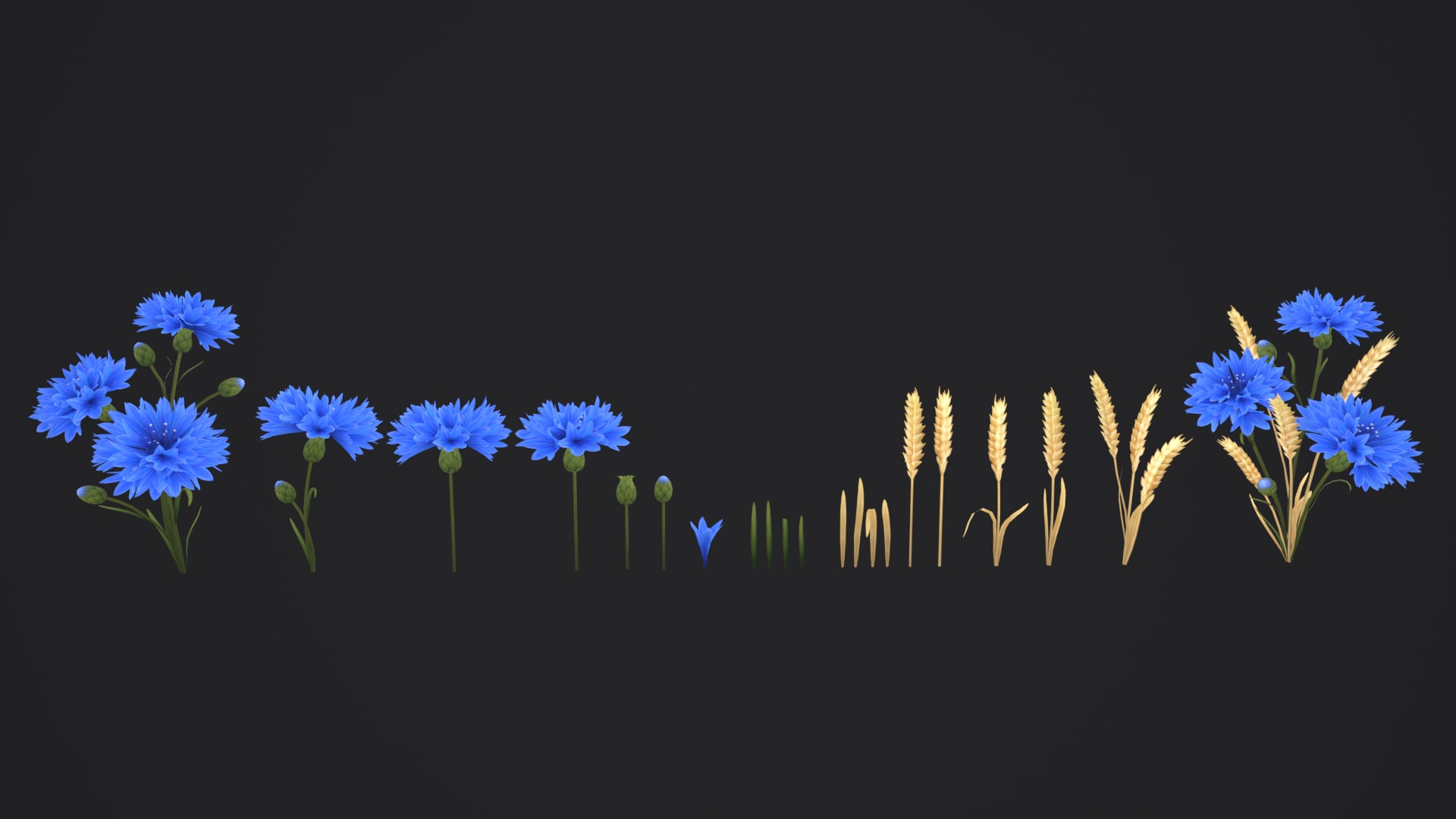 Stylized Handpainted Wildflowers Pack: Low-poly 3D Model