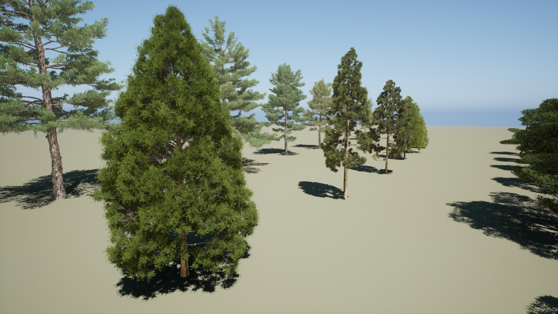 Realistic pine treesV3